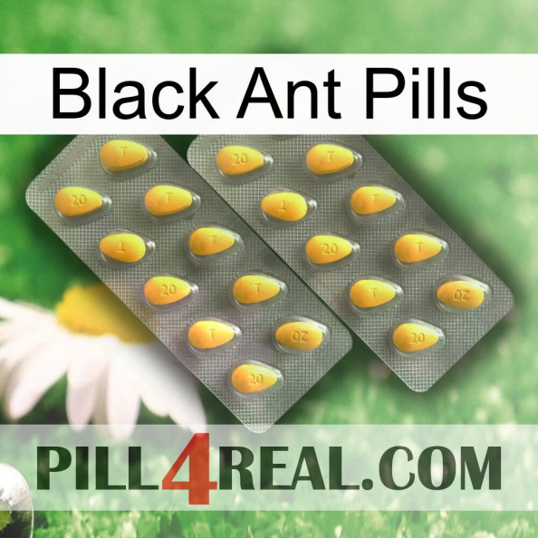 Black Ant Pills cialis2